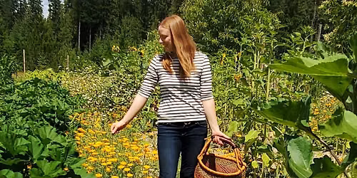 Growing Medicine w\/ Sherri Mariash - Food Commons