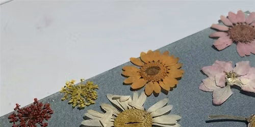 Cyanotype in the Garden | sun-powered arts workshop for adults