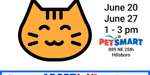 Petsmart Kittens & Cats Adoption Event
