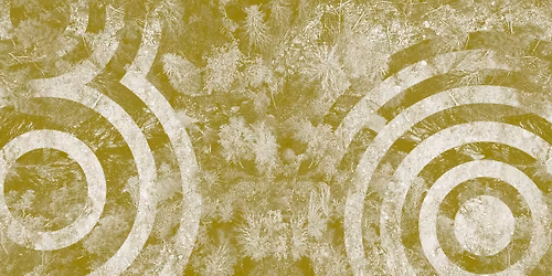 H\u00f8stkonferanse: Hvordan bygger vi et trygt og b\u00e6rekraftig samfunn?