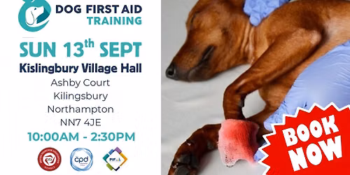 Kislingbury - Northampton Dog First Aid Training \ud83d\udc3e\u2764\ufe0f\u200d\ud83e\ude79