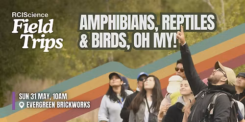 Field Trips: Amphibians, Reptiles and Birds, oh my!