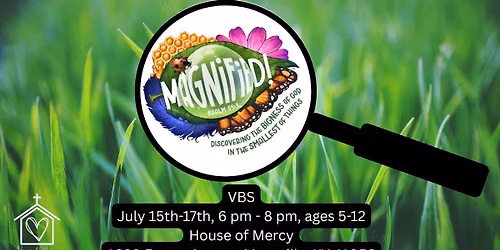 Magnified VBS 
