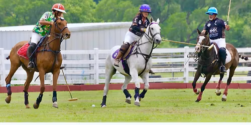 Fiesta King\u2019s Cup