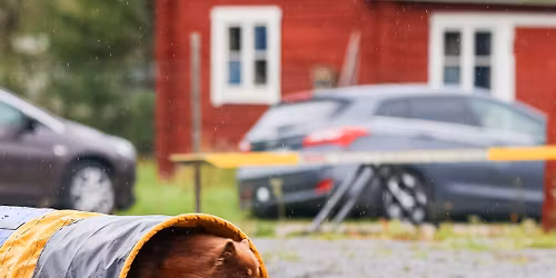 Wuoks palkkam\u00f6llit