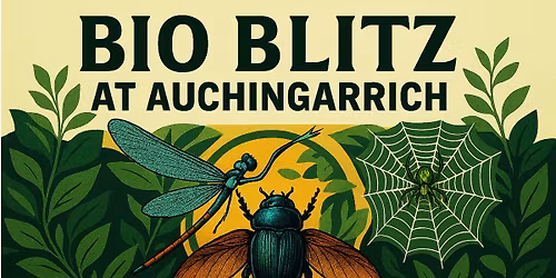 Ancient Woodland Bio Blitz