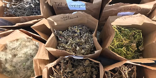 Seed Swap and Plant Exchange @ Dan Ryan Woods