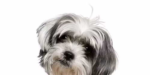 Pelspleje kursus - OBS NY dato