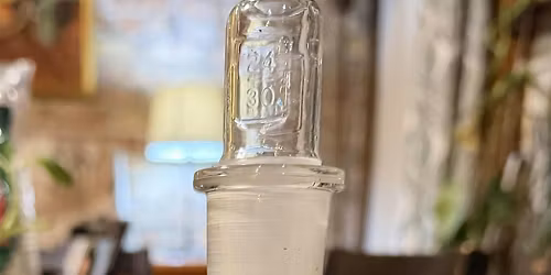 Terrarium 101: Closed Tropical Terrariums