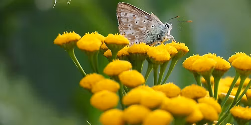 Dotykaj\u0105c Ciszy \u2013 5Rytm\u00f3w\u00ae i milczenie \u2013 Beata