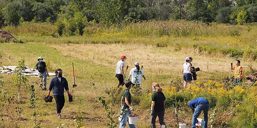 Annual Tree Planting with 10,000 Trees