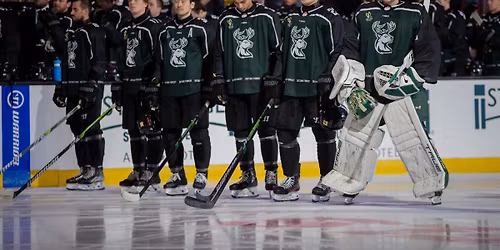 Tulsa Oilers vs. Iowa Heartlanders