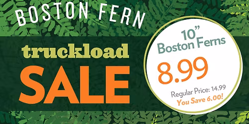 Truckload Boston Fern Sale | Broken Arrow, OK 