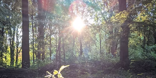 Nature Led Meditation Evening - July