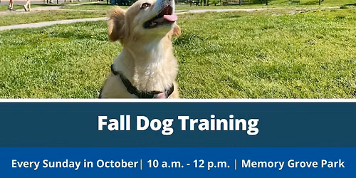 Fall Dog Training 