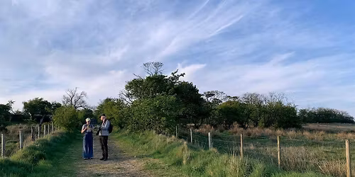 Spring Birding Support - Slievenacloy Nature Reserve