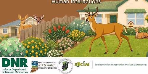 Understanding Urban Deer: Ecology, Health, & Human Interactions