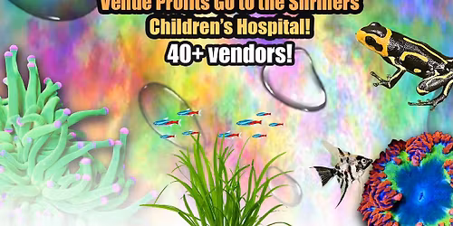 6th annual Southern Aquatic Experience