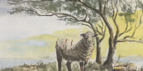 Book Signing - \u201cColocho, A Sheep in the Wind\u201d by Curtis Koch