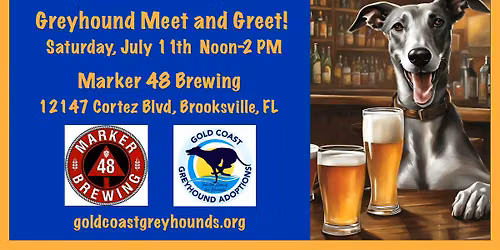 Greyhound Meet and Greet at Marker 48 Brewing