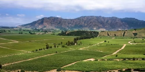 South American Wine Festival - Willow Park Wines