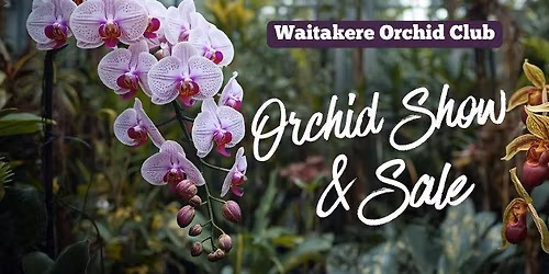 Waitakere Orchid Club Spring Show