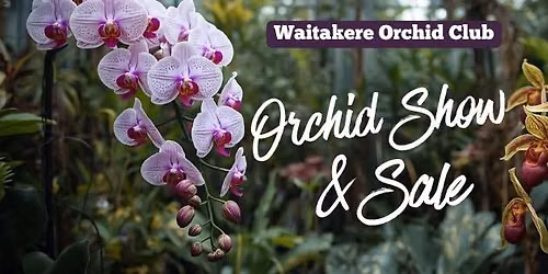 Waitakere Orchid Club Spring Show