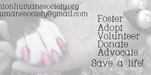 Harry's Downtown - Pups on the Patio