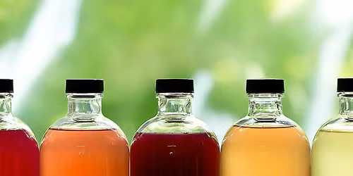 Kombucha by Rebekka Hutton