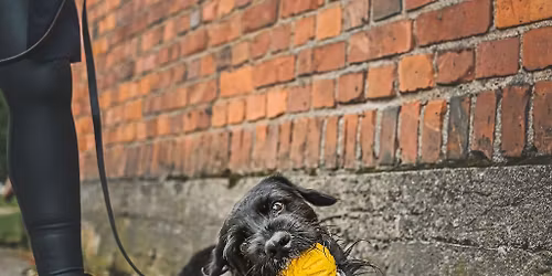 Jirka Vierimaan luento: Kesto, kiinti\u00f6 ja ketjut pitkiss\u00e4 suorituksissa