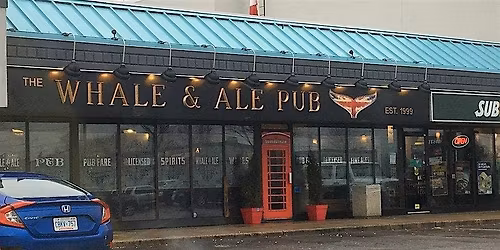 Weekly Trivia Night at Whale & Ale Pub - Kitchener