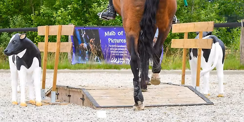 working Equitation Twente wedstrijd