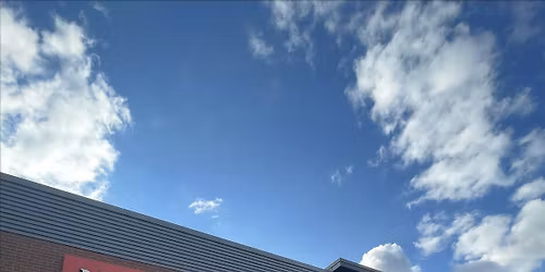 Wild Fork Roscoe Village | Get your grill on!