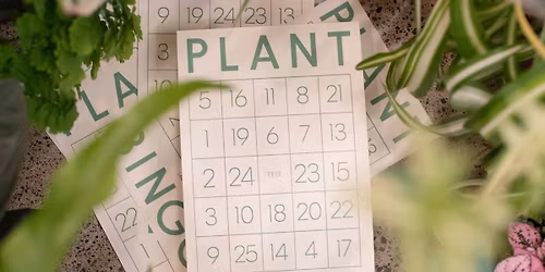 Plant Bingo