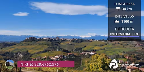 Wine Trekking Langhe