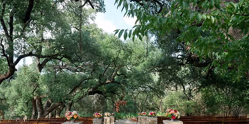 Camp Lucy Wedding Open House