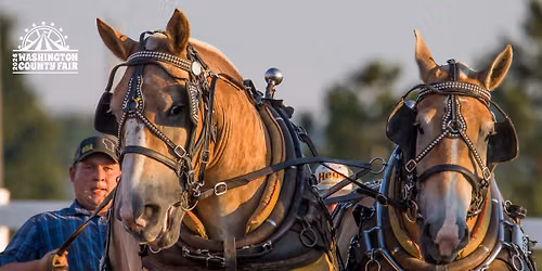 Horse Pull at Washington County Fair