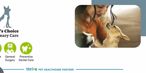 Pictures with Santa Paws