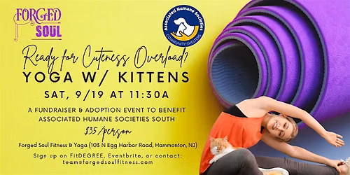 Kitten Yoga! A Playful Yoga Class Adoption\/Fundraising Event!