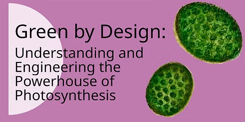 SYNMIKRO Symposium 2026: Green by Design