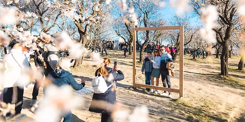 Slavnosti mandlon\u00ed a v\u00edna 2026