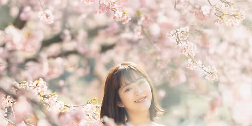 \u97f3\u3067\u63cf\u304f\u56db\u5b63 \u30b3\u30f3\u30b5\u30fc\u30c8\u30c4\u30a2\u30fc\u300a\u6625\u300b\u938c\u5009\u516c\u6f14