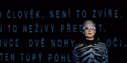 B\u00e1ra Vicen\u00edkov\u00e1: Nomi | DERNI\u00c9RA