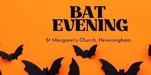 Bat Evening