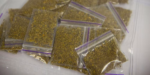 Face to Face - Synthetic Cannabis Training (SPICE)