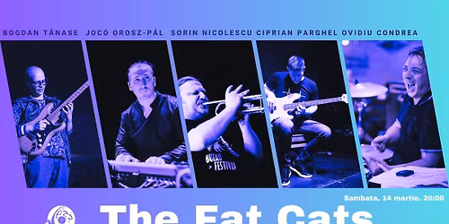The Fat Cats
