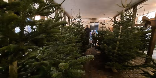 Julepyntedag - Giv en h\u00e5nd