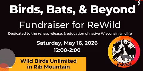 Birds, Bats, & Beyond-Fundraiser for ReWild
