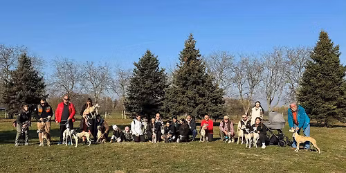 II. Mak\u00f3i Whippet Tal\u00e1lkoz\u00f3 