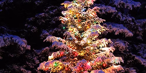 Christmas Tree Lighting in the Park